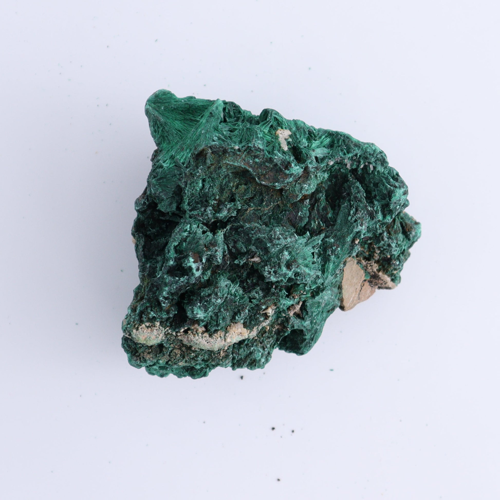 Malachite Freeforms Set of 2 - Expert Wholesale and Supplier of Wholesale Crystals & Bulk Gemstones, ["Freeform","Malachite","South Africa"]