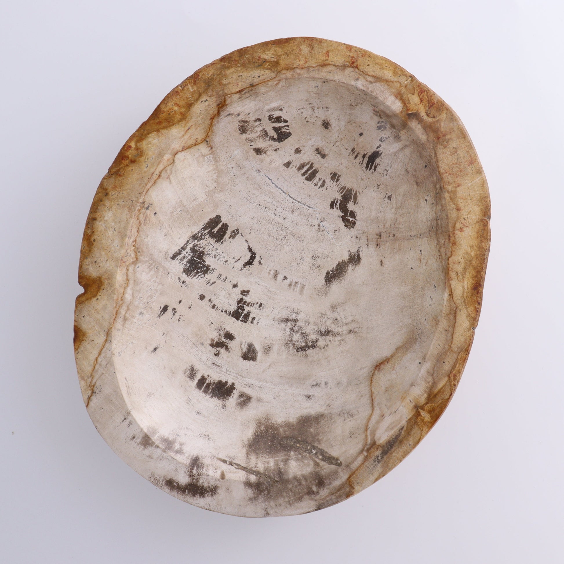 Petrified Wood Bowl - Expert Wholesale and Supplier of Wholesale Crystals & Bulk Gemstones, ["Bowls","Indonesia","Petrified Wood"]