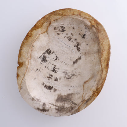Petrified Wood Bowl - Expert Wholesale and Supplier of Wholesale Crystals & Bulk Gemstones, ["Bowls","Indonesia","Petrified Wood"]