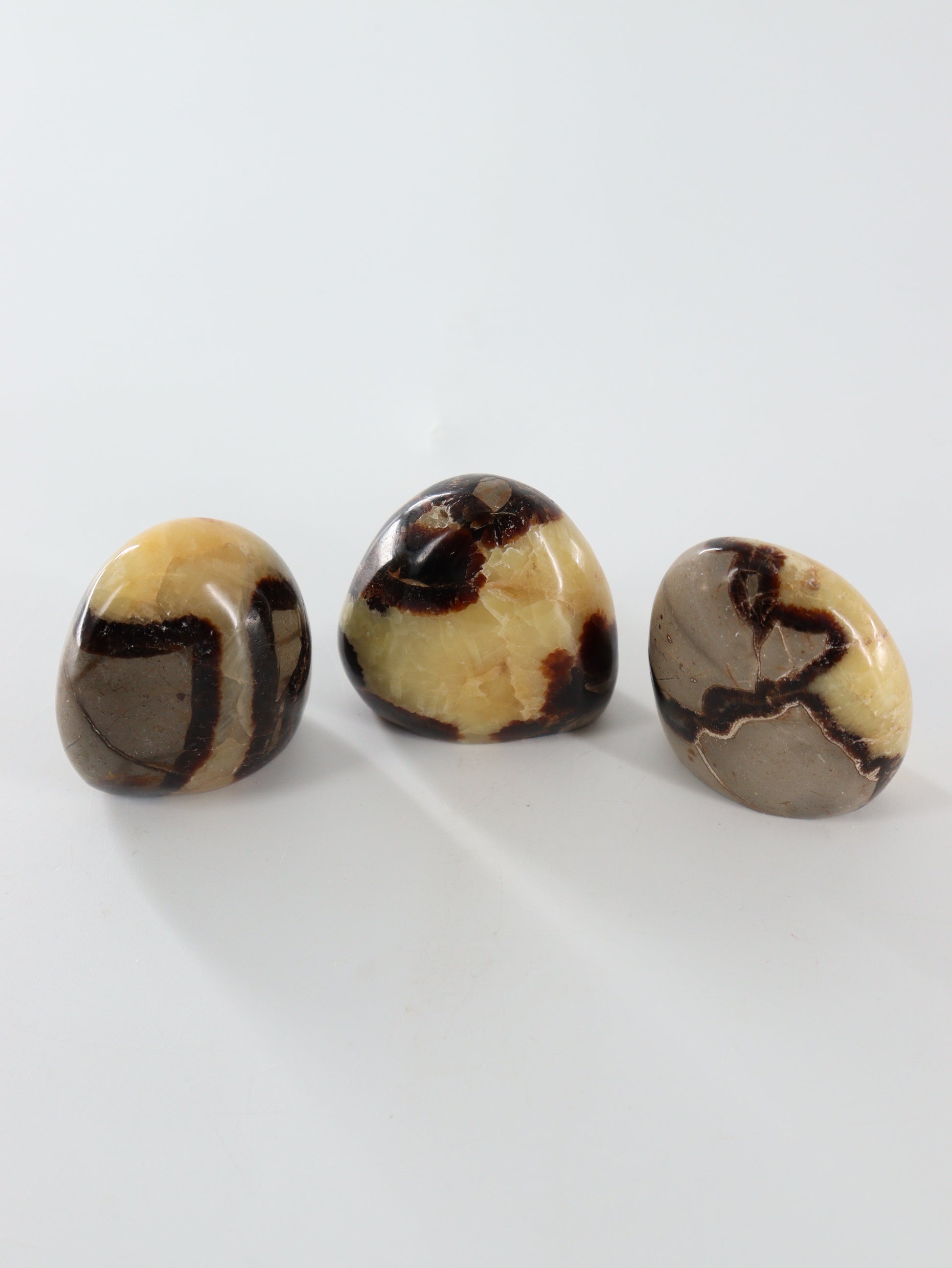 Septarian Freeforms Set of 12 - Expert Wholesale and Supplier of Wholesale Crystals & Bulk Gemstones, []