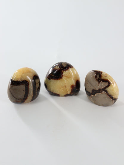 Septarian Freeforms Set of 12 - Expert Wholesale and Supplier of Wholesale Crystals & Bulk Gemstones, []