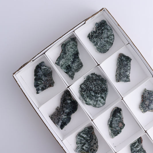 Seraphinite Slices Set of 12 - Expert Wholesale and Supplier of Wholesale Crystals & Bulk Gemstones, ["Seraphinite","Slices and Slabs"]