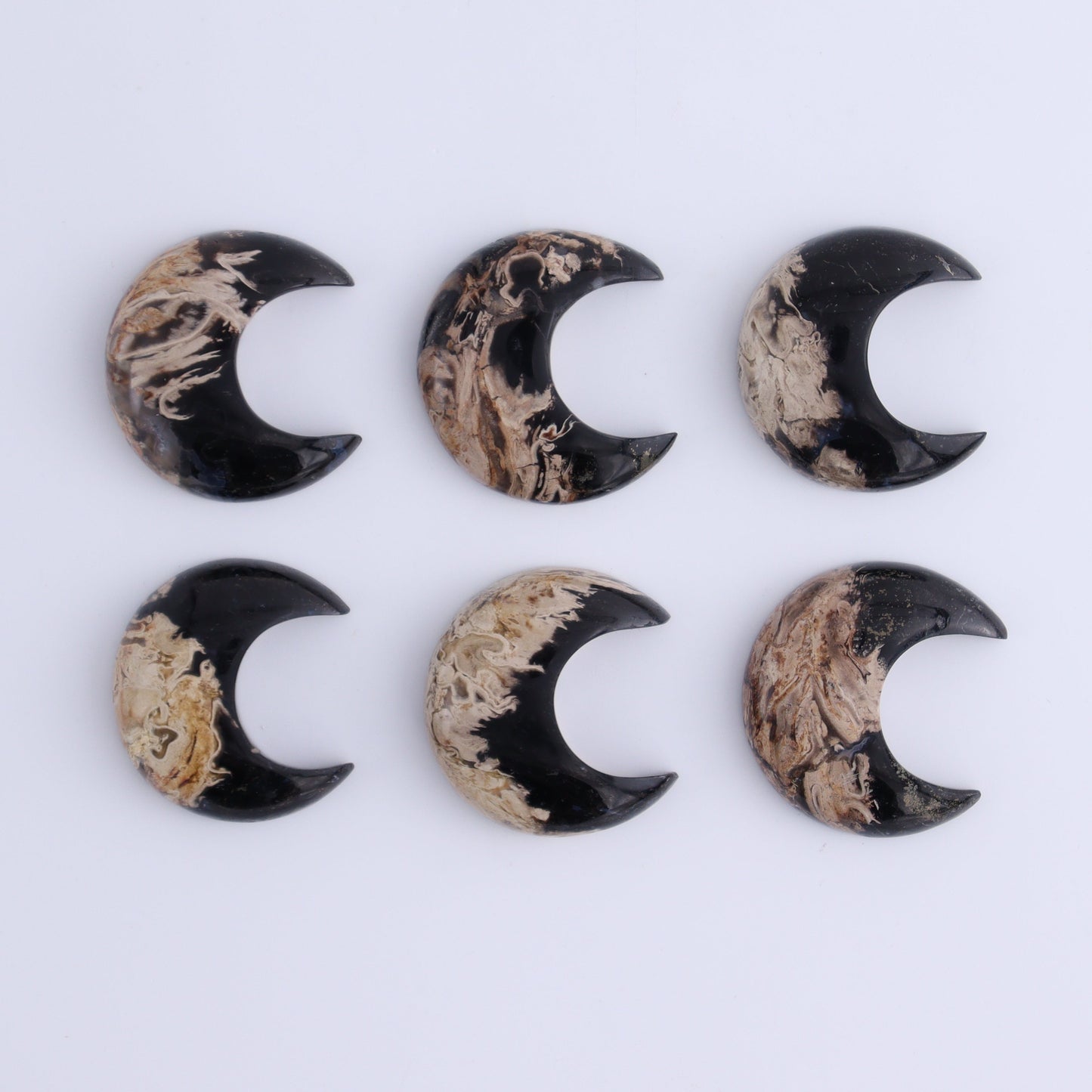 One Palm Root Moon Cab - Expert Wholesale and Supplier of Wholesale Crystals & Bulk Gemstones, ["Cabs","moons","Palm Root"]