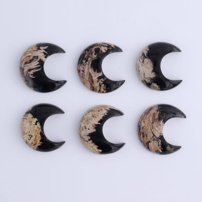 One Palm Root Moon Cab - Expert Wholesale and Supplier of Wholesale Crystals & Bulk Gemstones, ["Cabs","moons","Palm Root"]