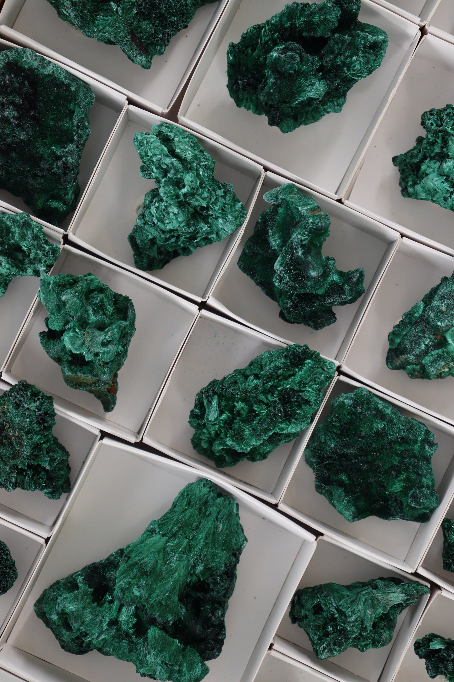 Malachite Flat - Expert Supplier of Wholesale Crystals & Bulk Gemstones