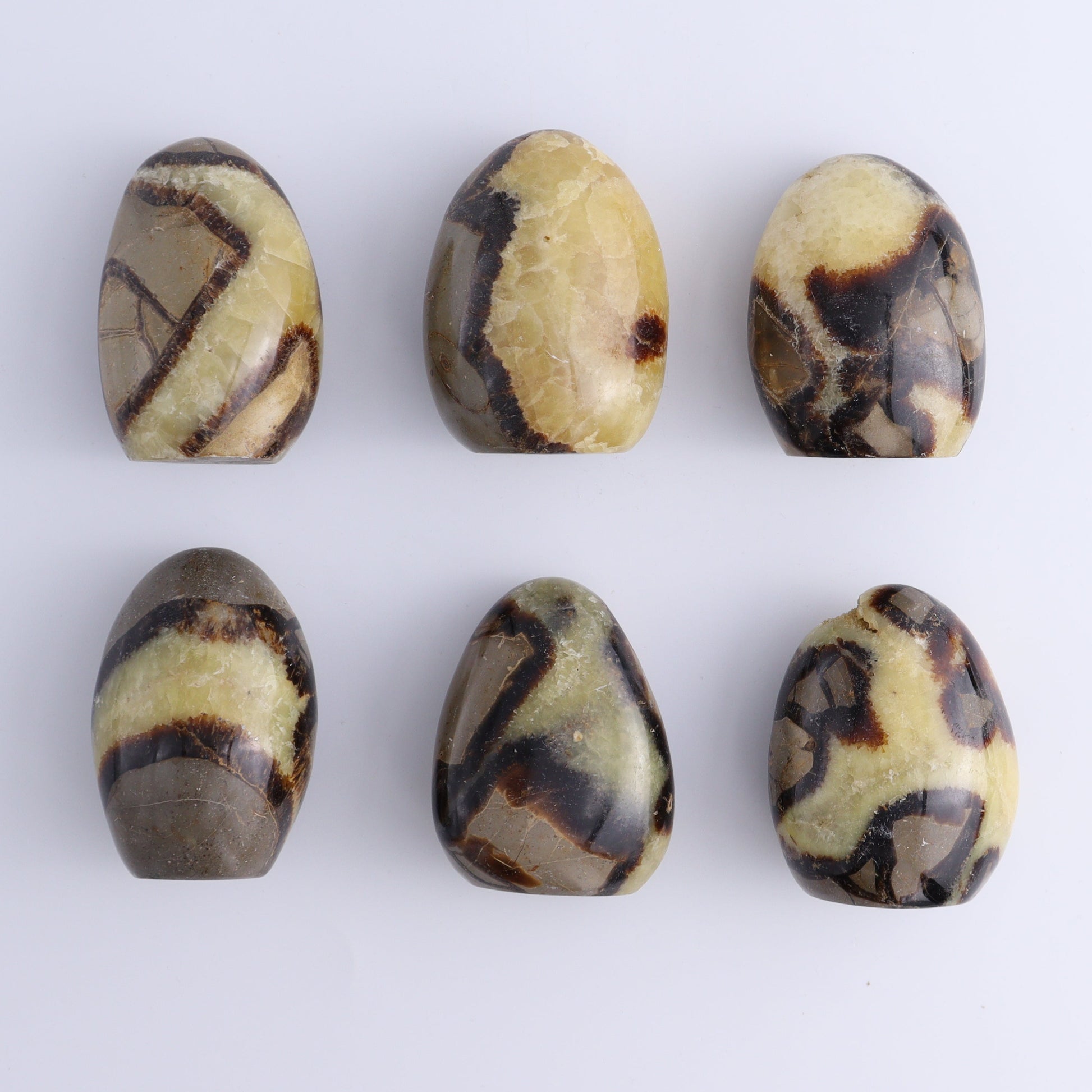 Septarian Freeforms Set of 24 - Expert Wholesale and Supplier of Wholesale Crystals & Bulk Gemstones, ["Freeforms","Madagascar","Septarian"]