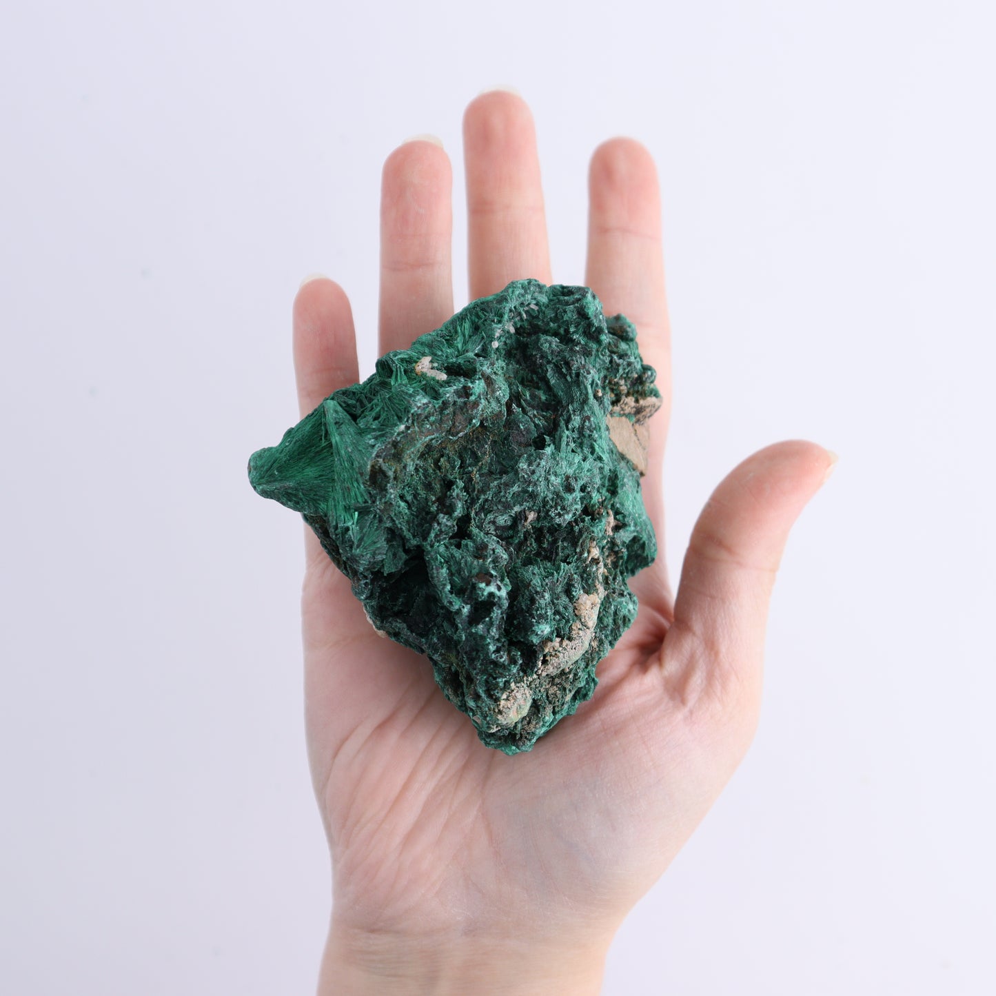 Malachite Freeforms Set of 2 - Expert Wholesale and Supplier of Wholesale Crystals & Bulk Gemstones, ["Freeform","Malachite","South Africa"]