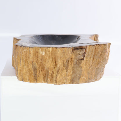 Petrified Wood Bowls Set of 2 - Expert Wholesale and Supplier of Wholesale Crystals & Bulk Gemstones, ["Bowls","Indonesia","Petrified Wood"]