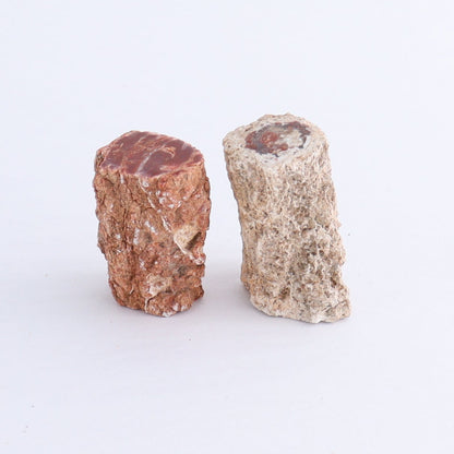 Petrified Wood Cut Bases Set of 10 - Expert Wholesale and Supplier of Wholesale Crystals & Bulk Gemstones, ["Cut Base","Petrified Wood"]