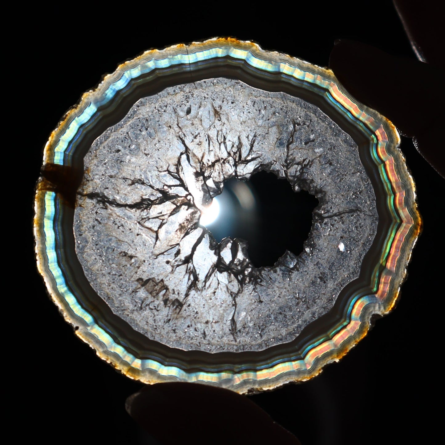 Iris Agate Slices Set of 6 - Expert Wholesale and Supplier of Wholesale Crystals & Bulk Gemstones, ["Agate","Iris Agate","Slices and Slabs"]