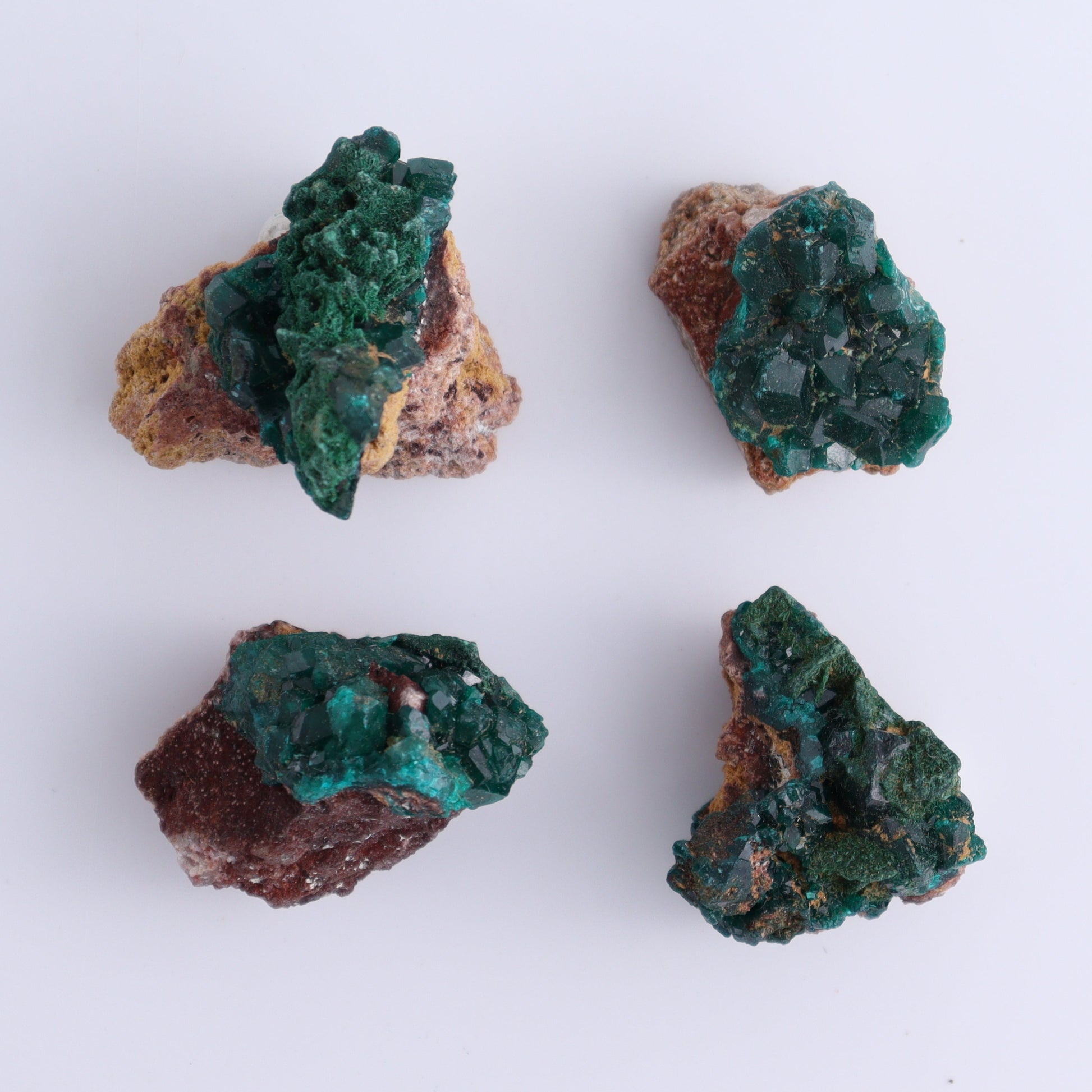 Dioptase Set of 12 - Expert Wholesale and Supplier of Wholesale Crystals & Bulk Gemstones, ["dioptase","Freeform","Freeforms"]