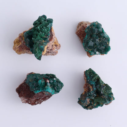 Dioptase Set of 12 - Expert Wholesale and Supplier of Wholesale Crystals & Bulk Gemstones, ["dioptase","Freeform","Freeforms"]