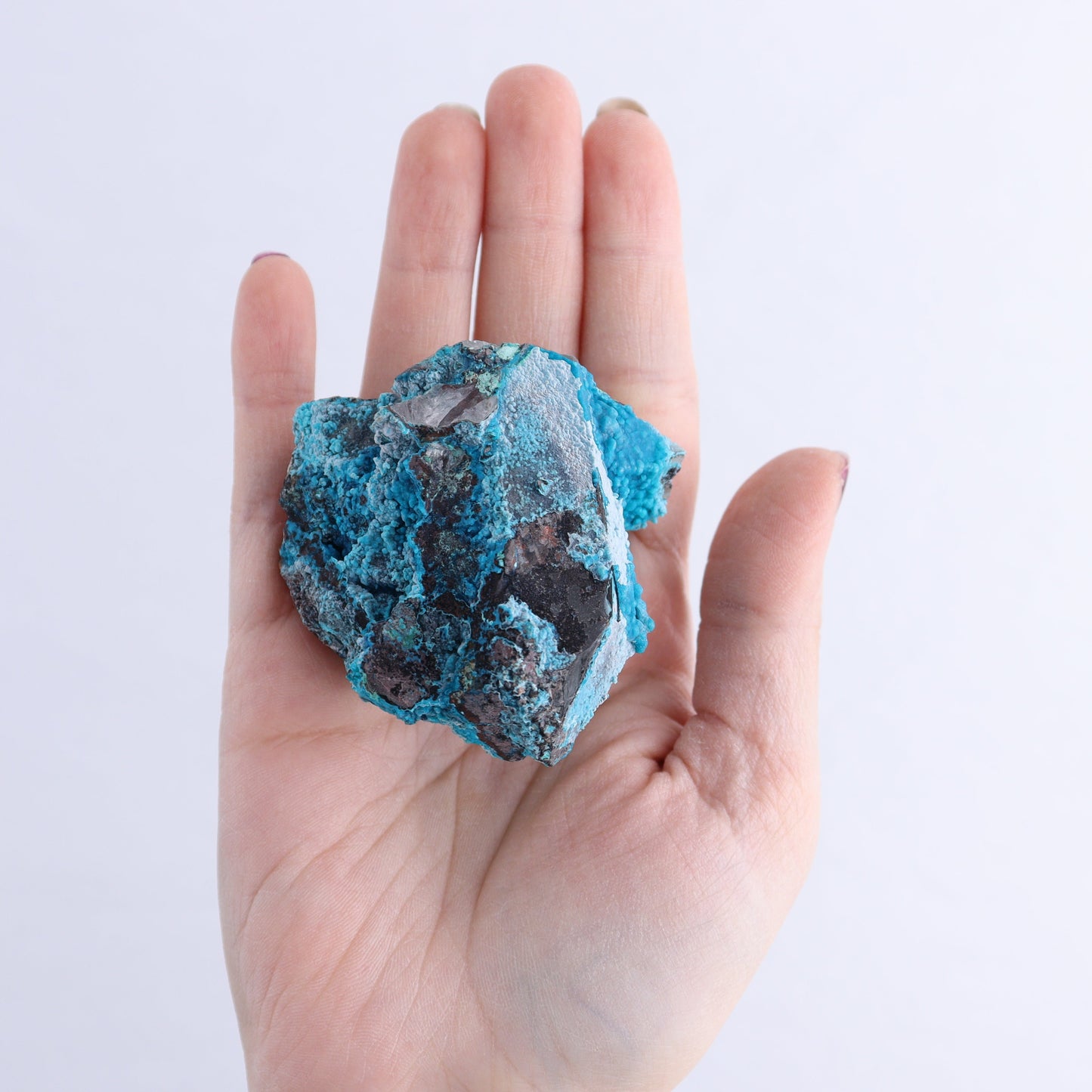 Chrysocolla on Quartz Roughs Set of 12