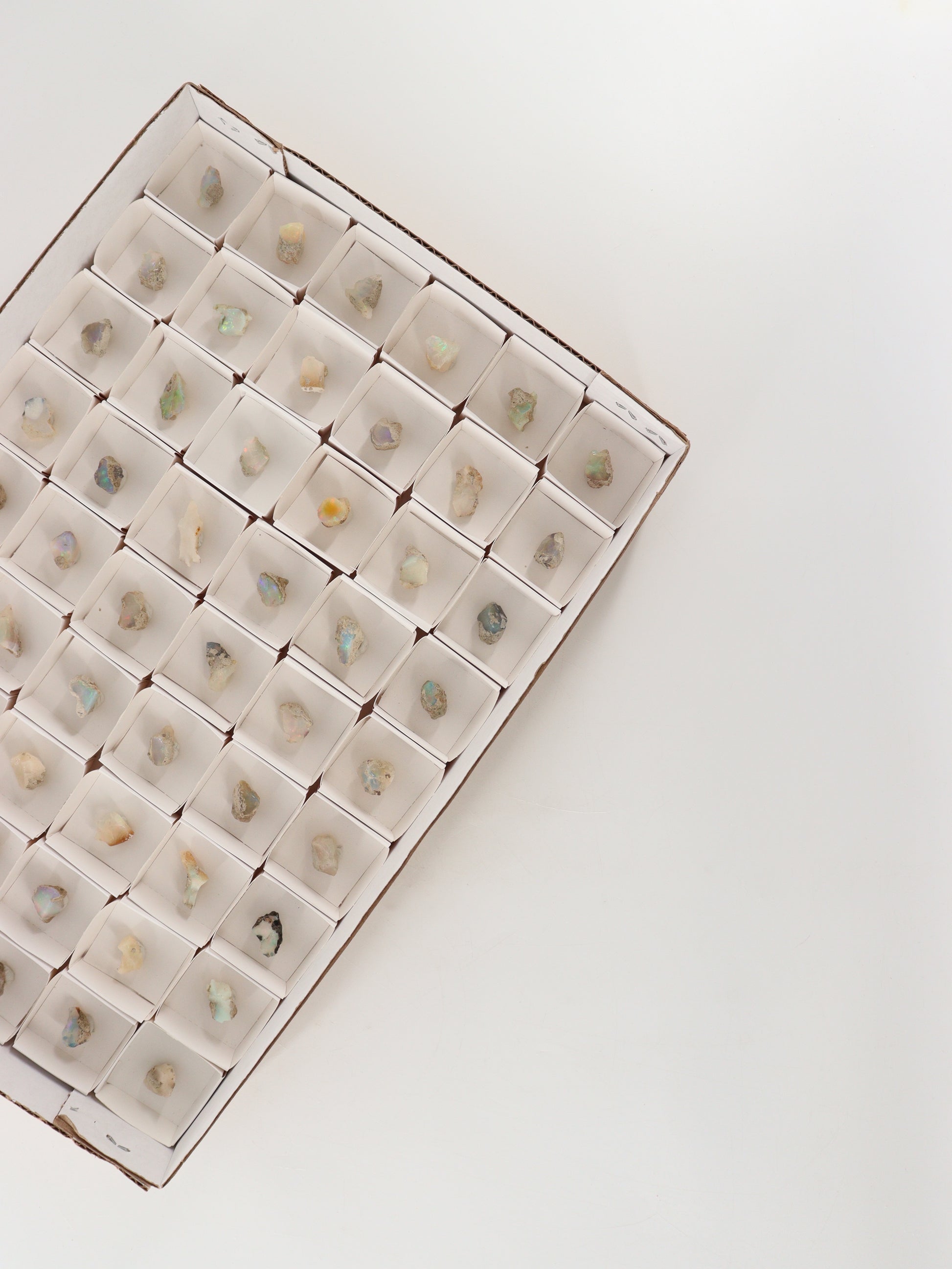Ethiopian Opal Flat Set of 54 - Expert Wholesale and Supplier of Wholesale Crystals & Bulk Gemstones, []