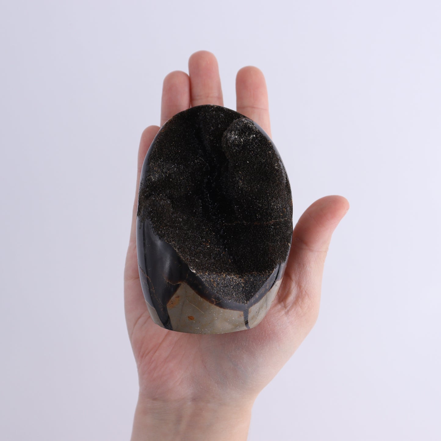 Septarian Cut Bases Set of 4 - Expert Wholesale and Supplier of Wholesale Crystals & Bulk Gemstones, ["Cut Base","Septarian"]