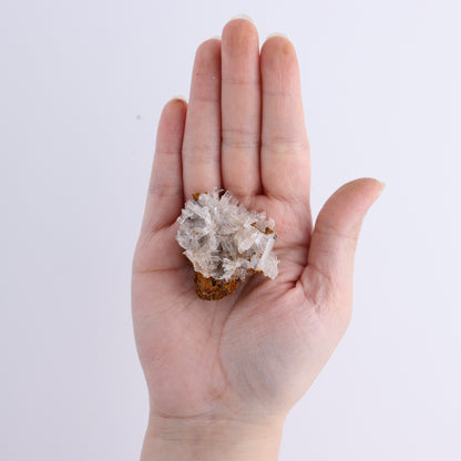 Hemimorphite Clusters Flat - Expert Wholesale and Supplier of Wholesale Crystals & Bulk Gemstones, ["Clusters","Flats","Hematite"]