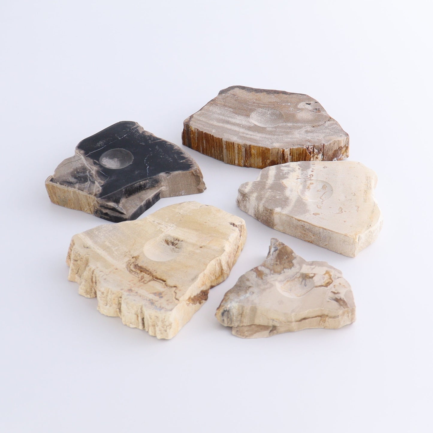 Petrified Wood Sphere Holders Set of 5 - Expert Wholesale and Supplier of Wholesale Crystals & Bulk Gemstones, ["Petrified Wood","sphere holder"]