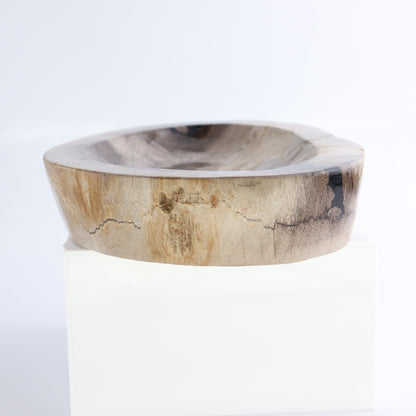 One Petrified Wood Black & Beige Polished Bowl