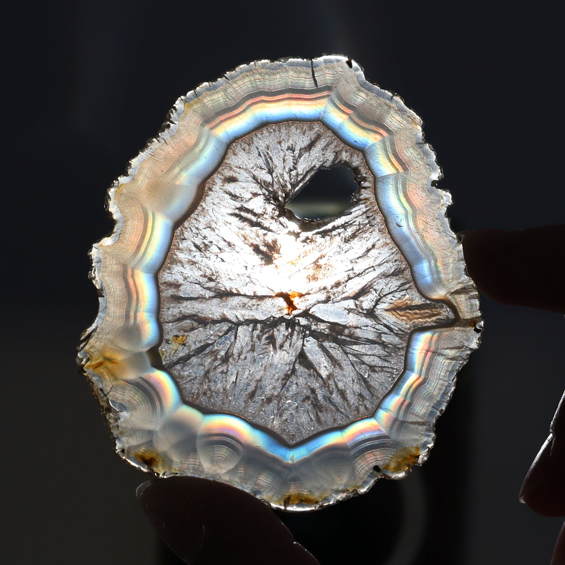 Iris Agate Slices Set of 8 - Expert Wholesale and Supplier of Wholesale Crystals & Bulk Gemstones, ["Agate","Iris Agate","Slices and Slabs"]