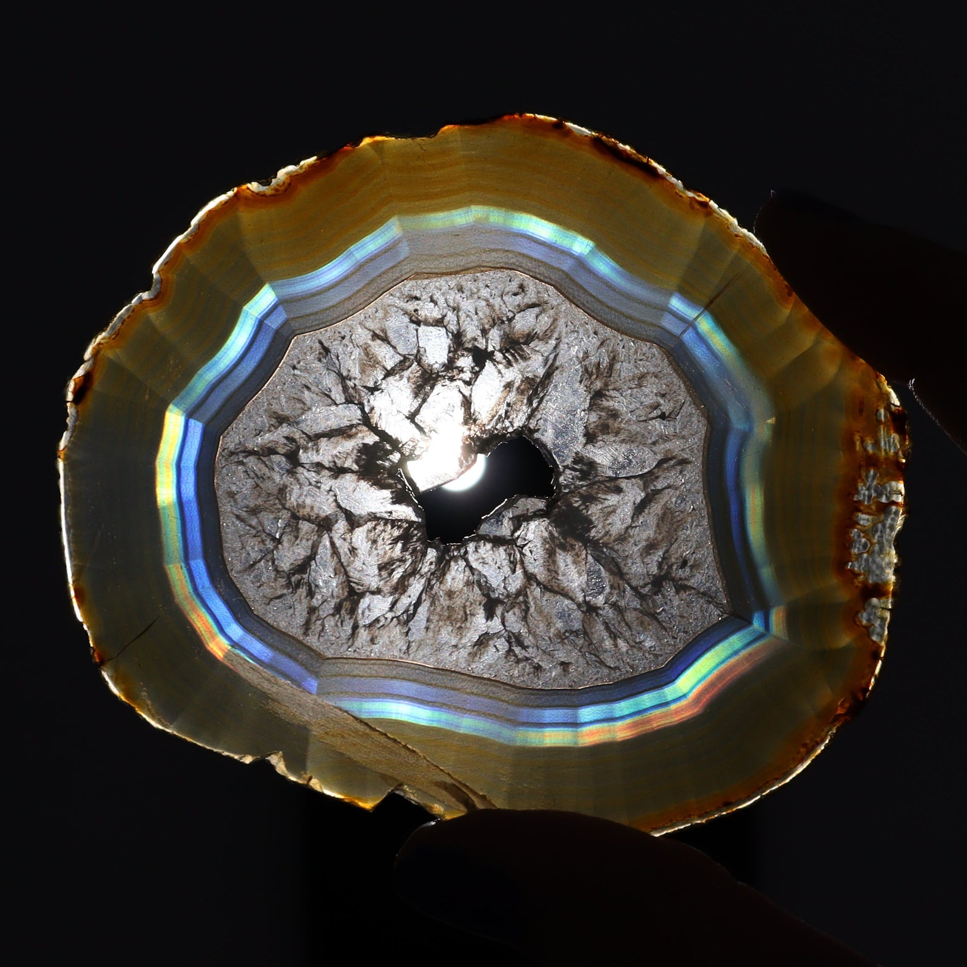 Iris Agate Slices Set of 5 - Expert Wholesale and Supplier of Wholesale Crystals & Bulk Gemstones, ["Agate","Iris Agate","Slices and Slabs"]