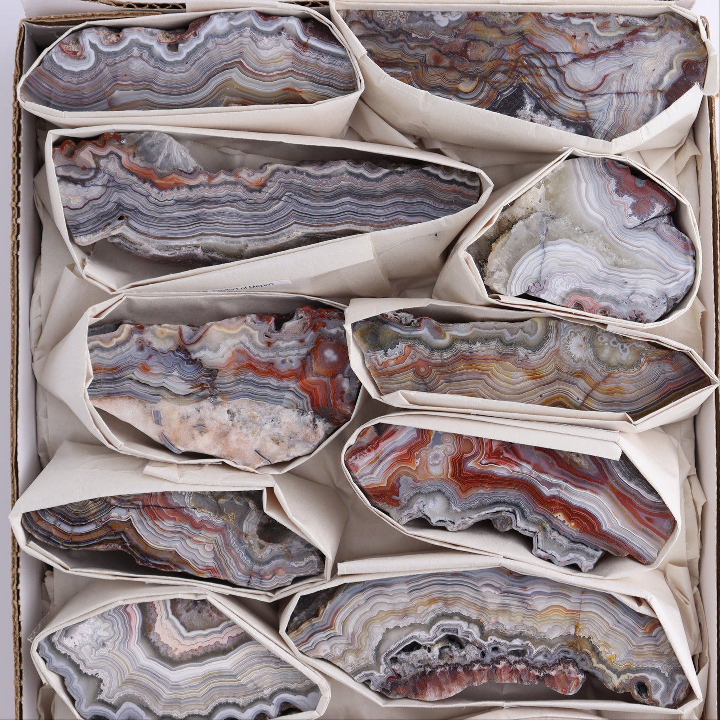 Crazy Lace Agate Flat of 12 - Expert Wholesale and Supplier of Wholesale Crystals & Bulk Gemstones, ["Crazy Lace Agate","Mexico"]