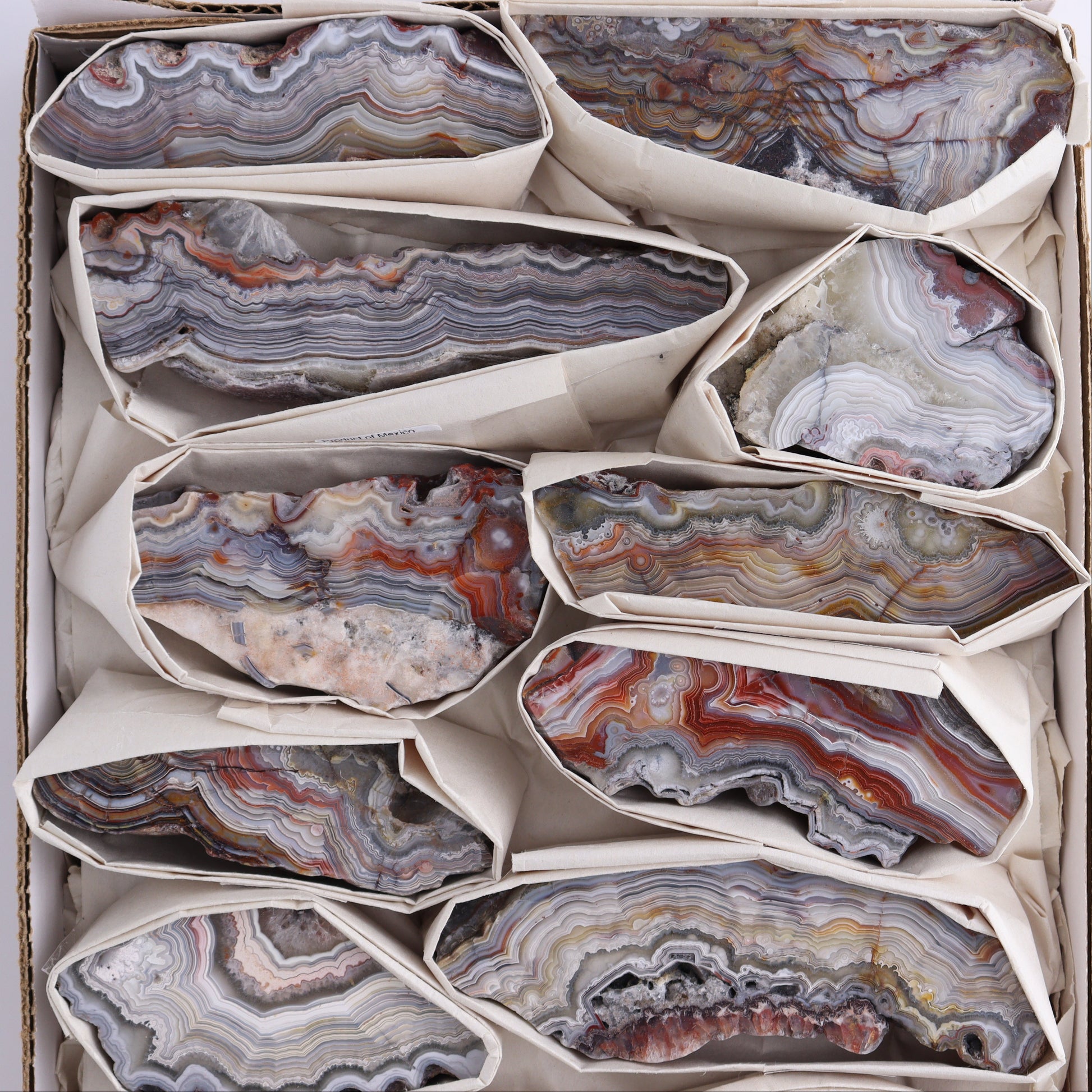 Crazy Lace Agate Flat of 12 - Expert Wholesale and Supplier of Wholesale Crystals & Bulk Gemstones, ["Crazy Lace Agate","Mexico"]