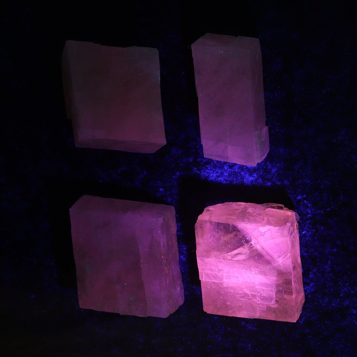 Pink Optical Calcite (Fluorescent) Set of 24 - Expert Wholesale and Supplier of Wholesale Crystals & Bulk Gemstones, ["Calcite","Mexico","Optical Calcite"]
