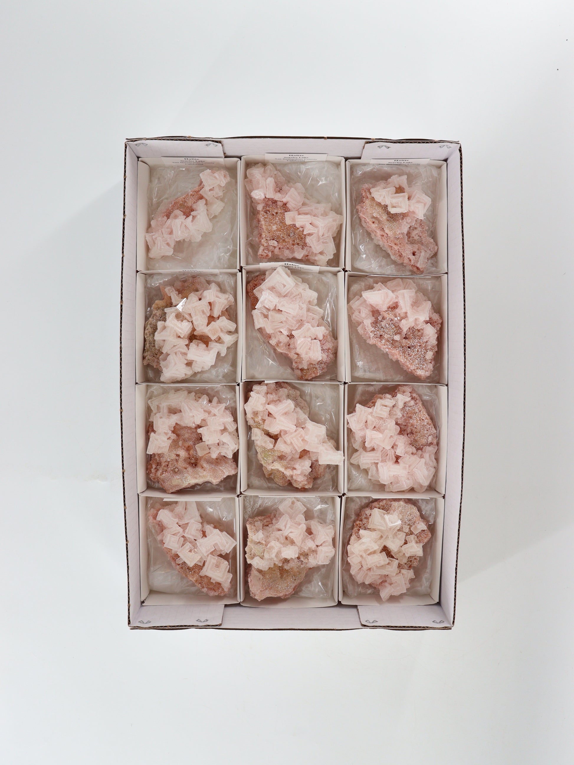 Halite Flat Set of 12 - Expert Wholesale and Supplier of Wholesale Crystals & Bulk Gemstones, []