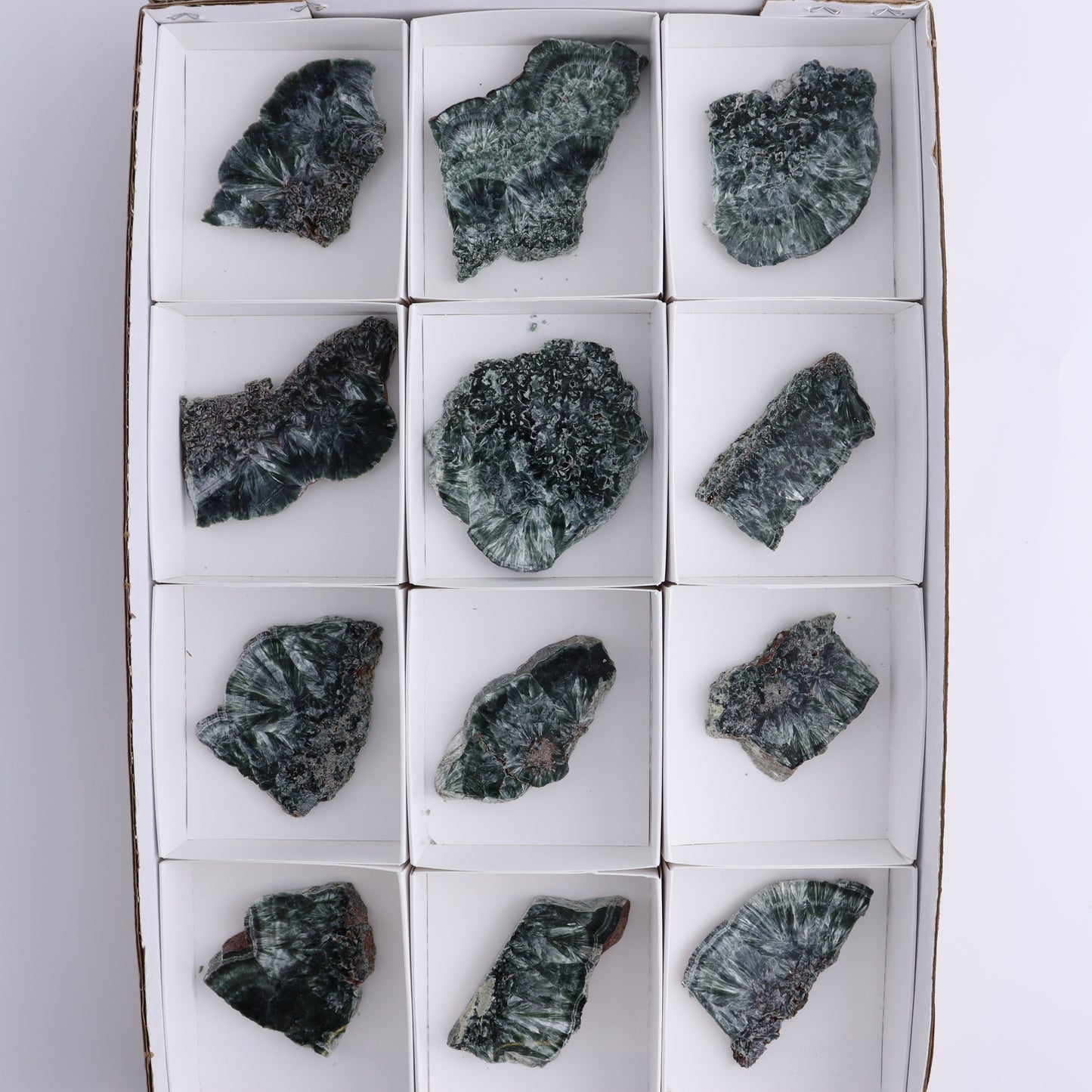 Seraphinite Slices Set of 12 - Expert Wholesale and Supplier of Wholesale Crystals & Bulk Gemstones, ["Seraphinite","Slices and Slabs"]