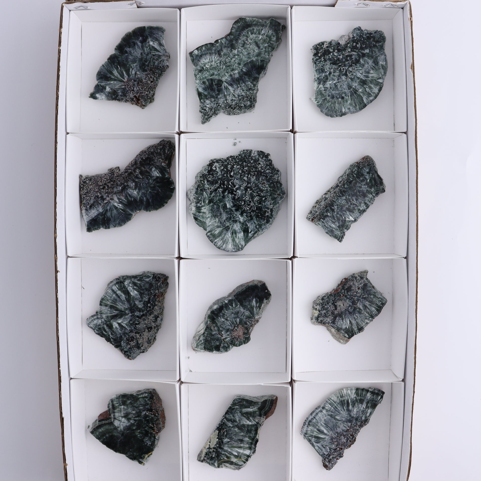 Seraphinite Slices Set of 12 - Expert Wholesale and Supplier of Wholesale Crystals & Bulk Gemstones, ["Seraphinite","Slices and Slabs"]