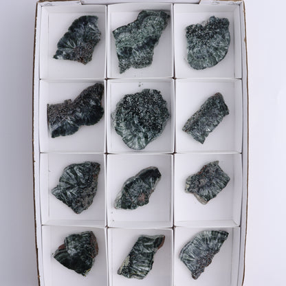 Seraphinite Slices Set of 12 - Expert Wholesale and Supplier of Wholesale Crystals & Bulk Gemstones, ["Seraphinite","Slices and Slabs"]
