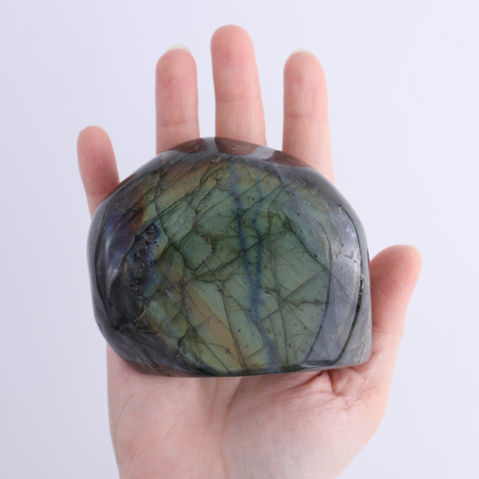 Labradorite Freeform Set of 4 - Expert Wholesale and Supplier of Wholesale Crystals & Bulk Gemstones, ["Freeforms","Labradorite","Madagascar"]