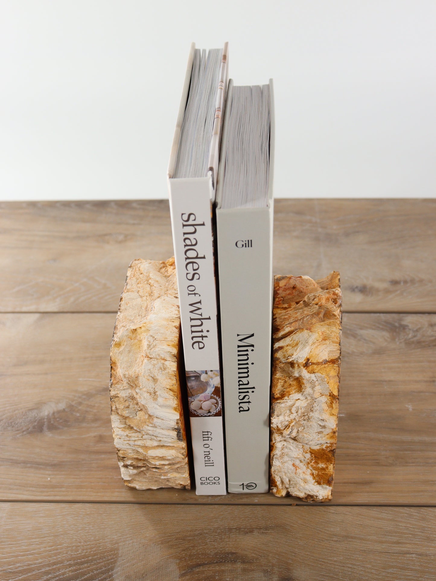 Petrified Wood Bookends - Expert Supplier of Wholesale Crystals & Bulk Gemstones