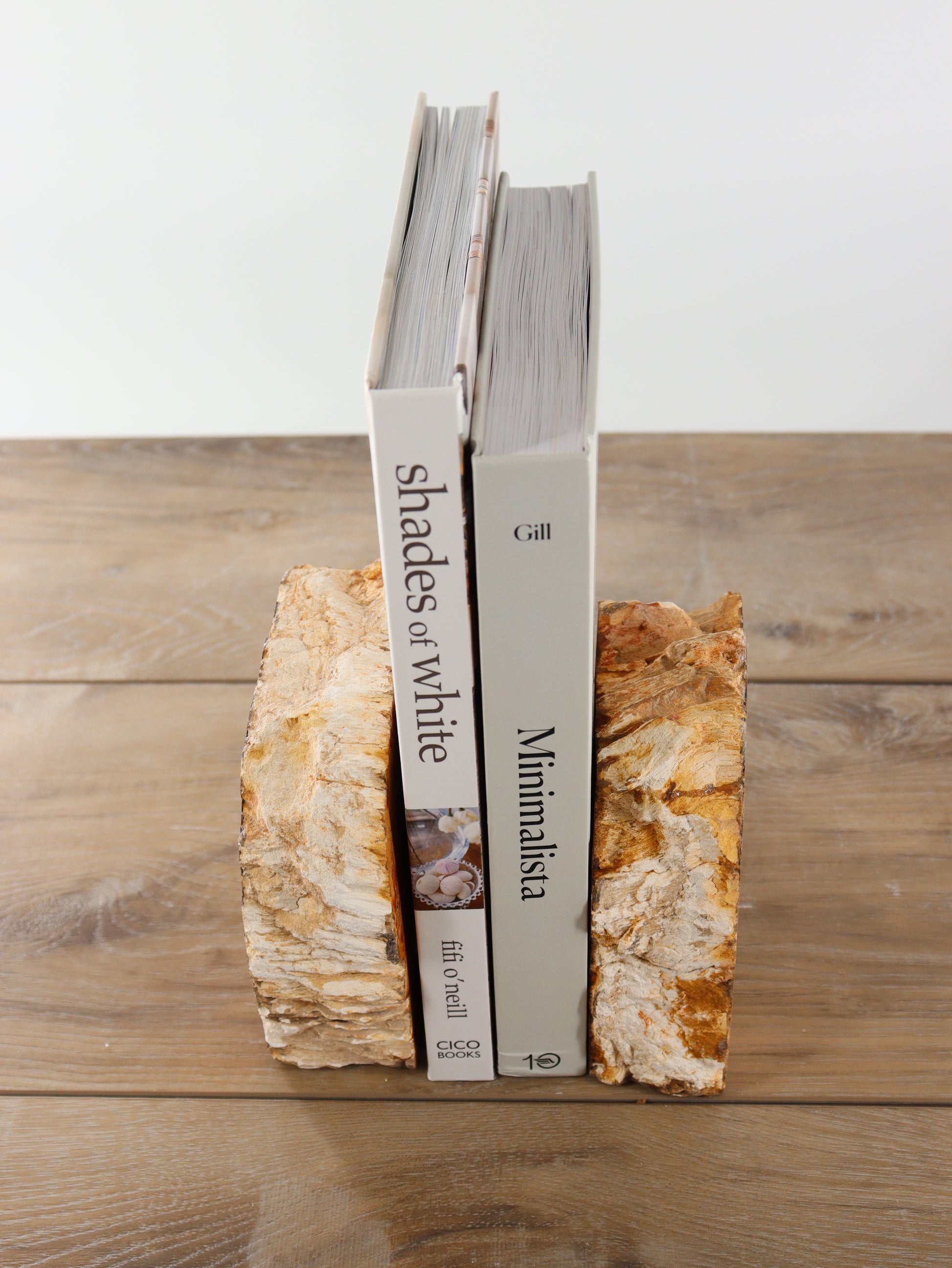 Petrified Wood Bookends - Expert Supplier of Wholesale Crystals & Bulk Gemstones