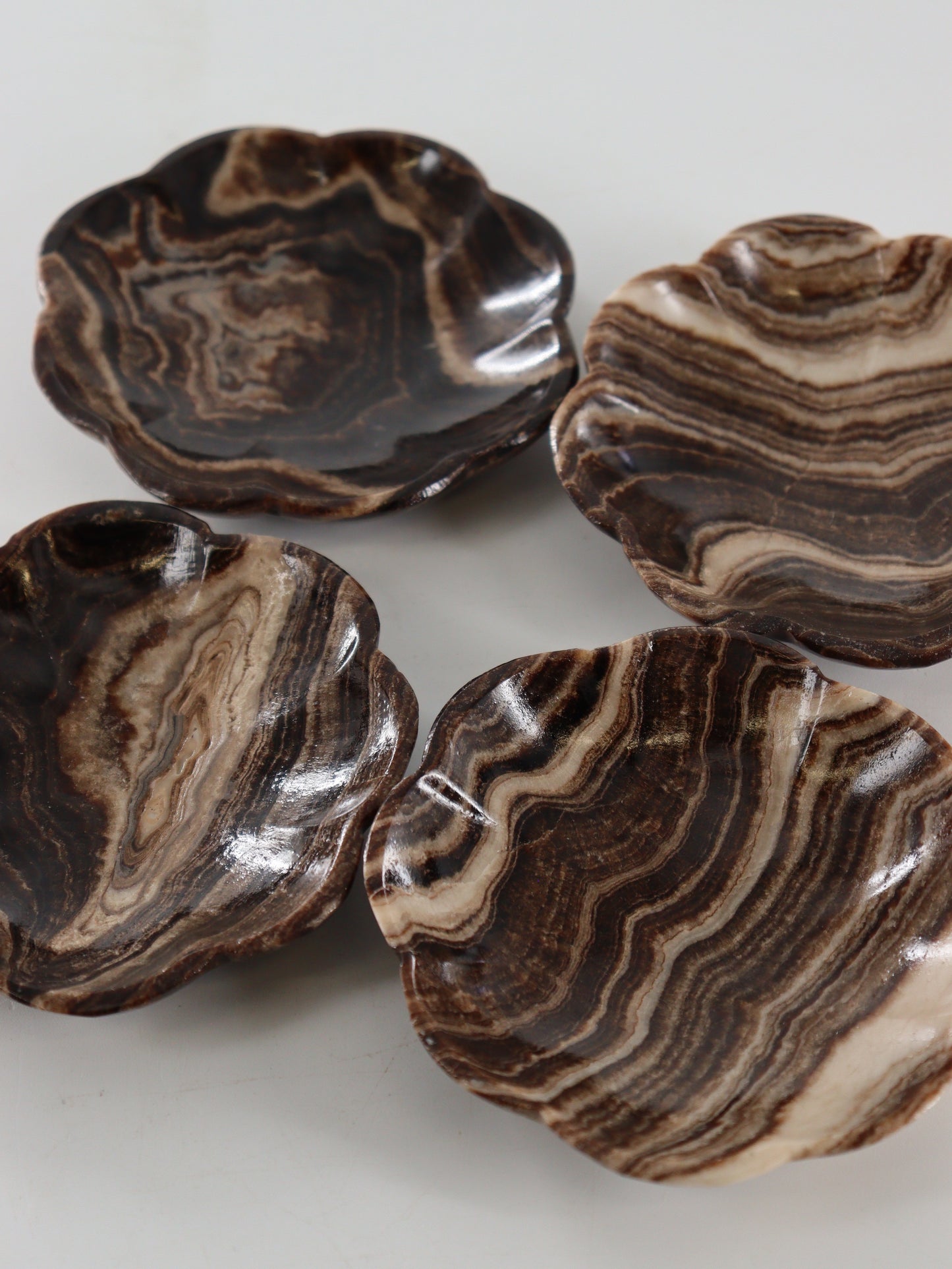 Chocolate Onyx Flower Dishes Set of 8