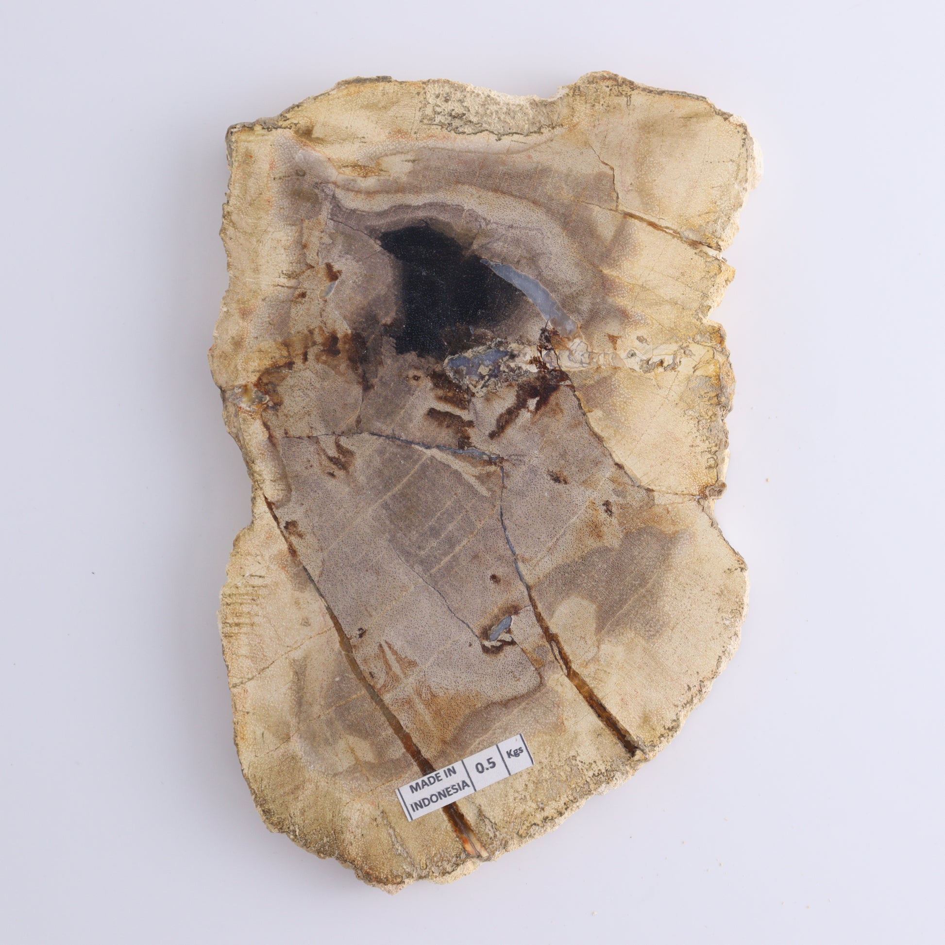 Petrified Wood Slices & Slabs Set of 4 - Expert Wholesale and Supplier of Wholesale Crystals & Bulk Gemstones, ["Freeforms","Indonesia","Petrified Wood","Slices and Slabs"]