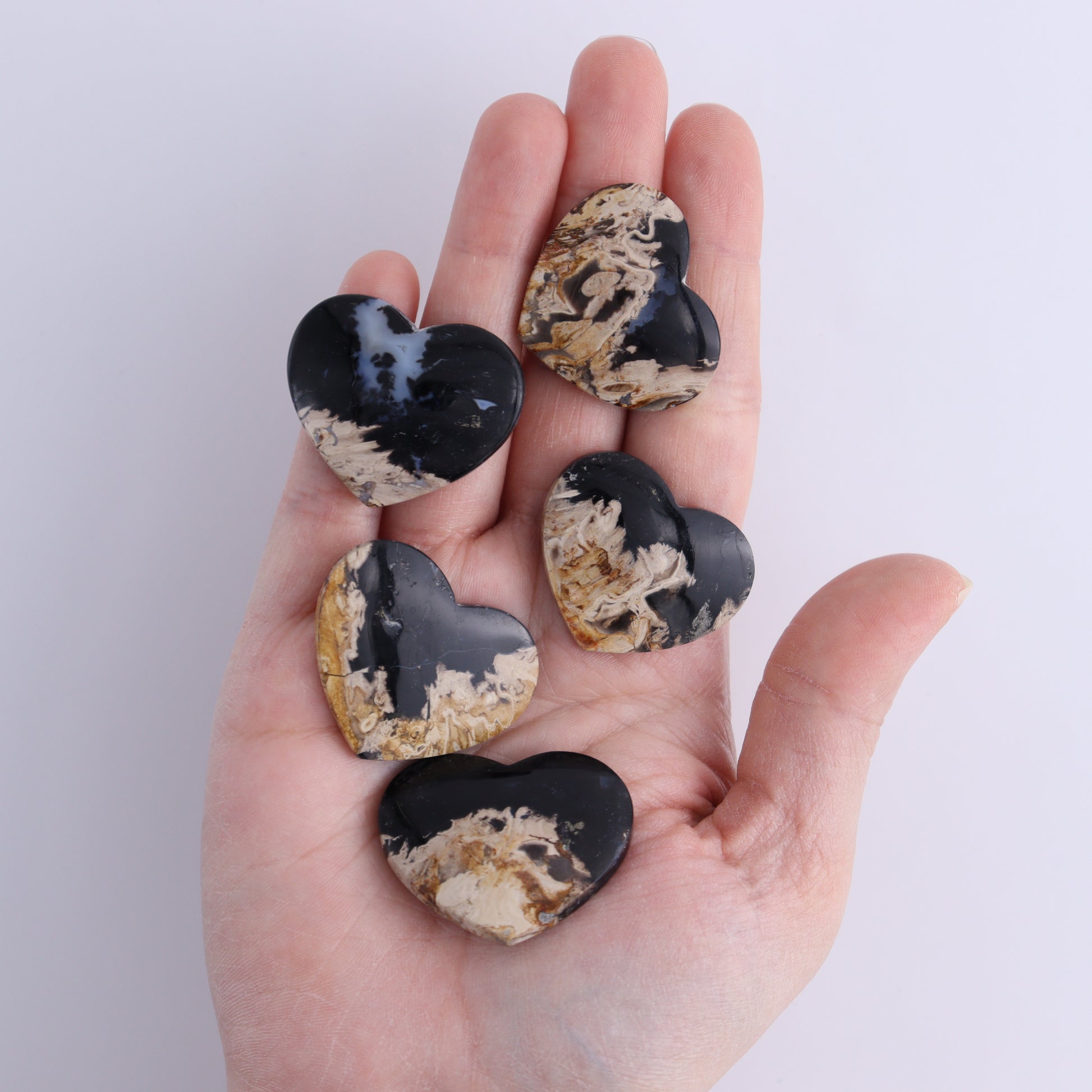 One Palm Root Heart Cab - Expert Wholesale and Supplier of Wholesale Crystals & Bulk Gemstones, ["Cabs","Hearts","Palm Root"]