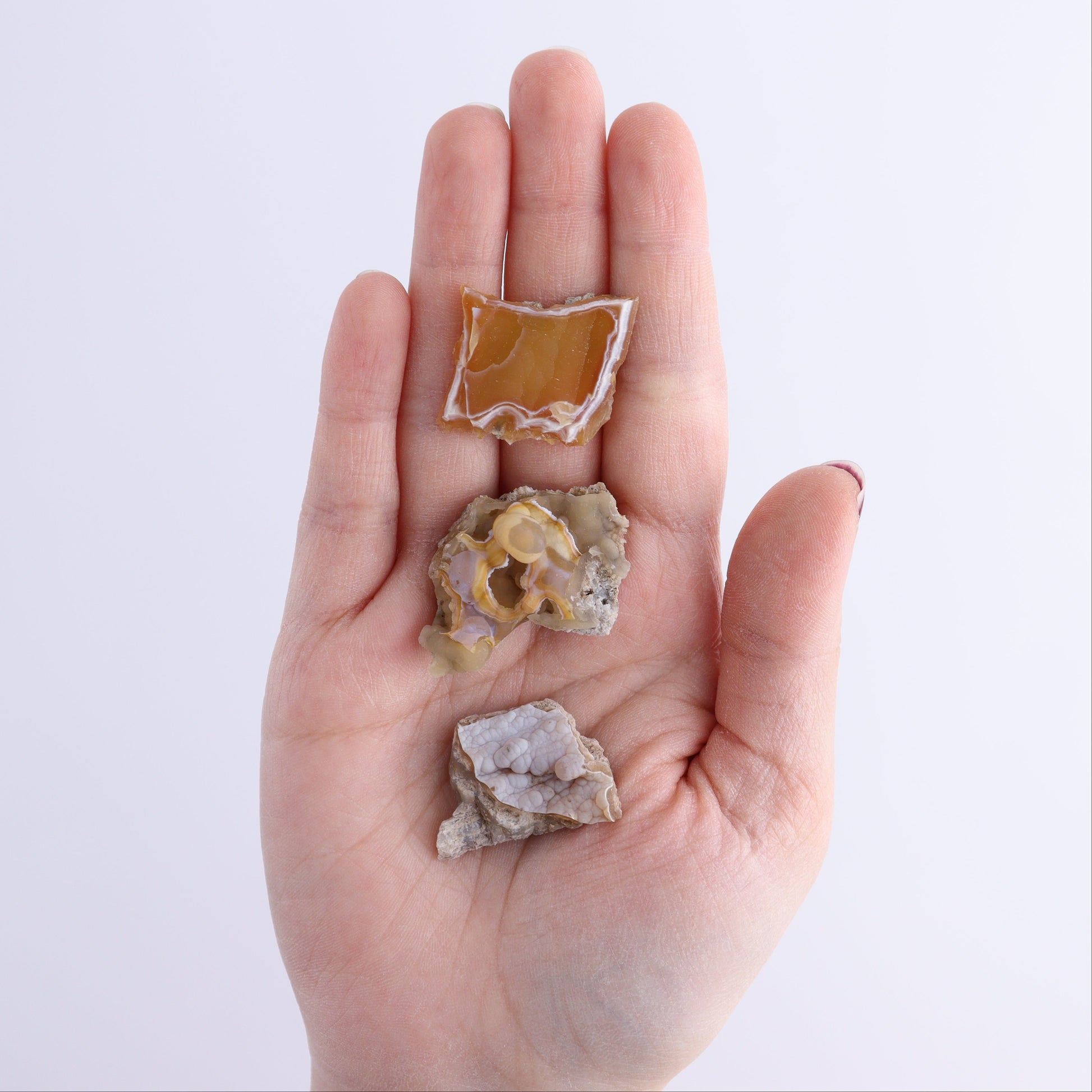 Agatized Coral Flat - Expert Wholesale and Supplier of Wholesale Crystals & Bulk Gemstones, ["Agate","Agatized Coral","Coral","United States"]