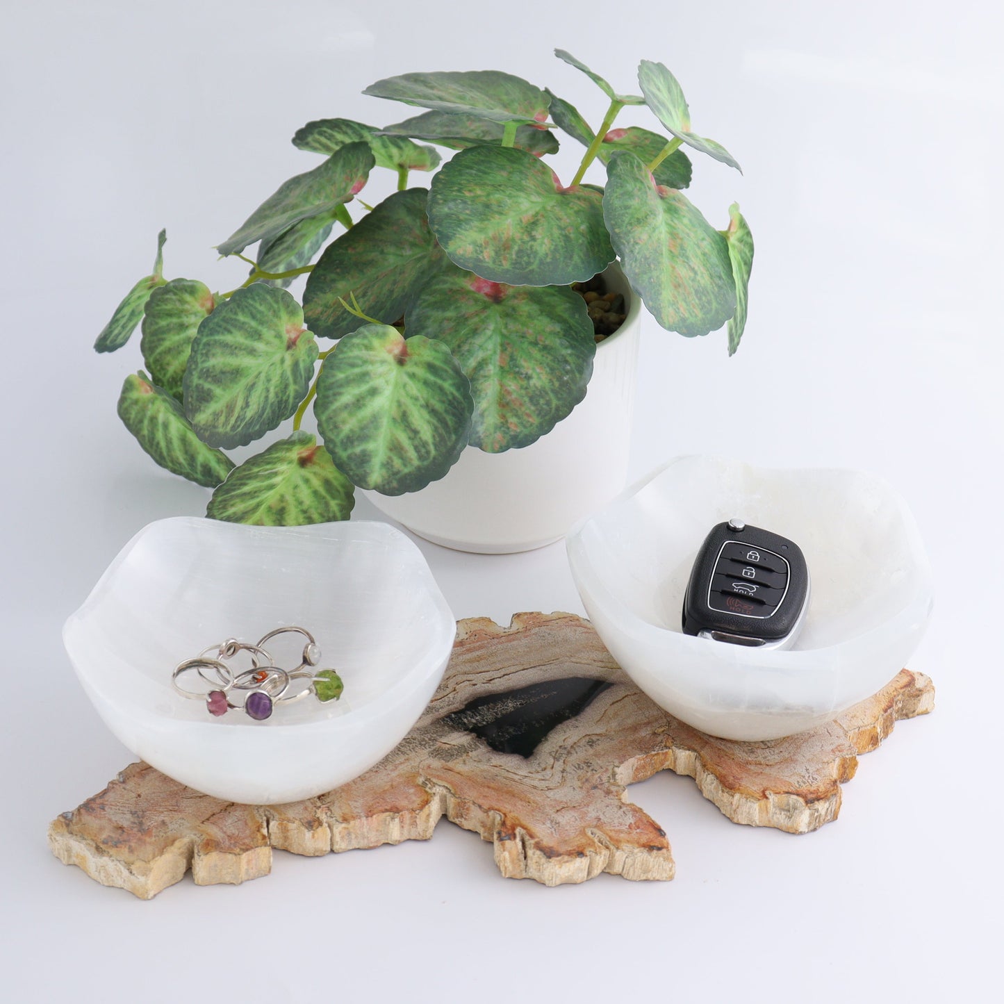 One Selenite (Satin Spar) Wavy Bowl 12 cm - Expert Wholesale and Supplier of Wholesale Crystals & Bulk Gemstones, ["Bowls","Freeform","Freeforms","Morocco","Selenite"]