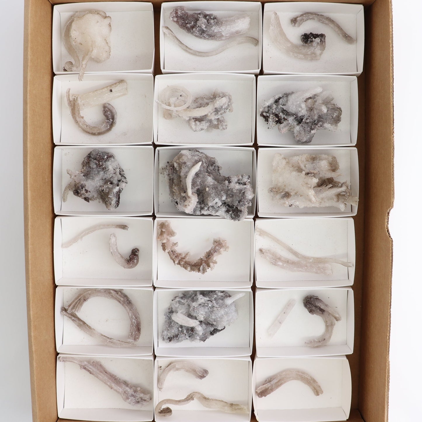 Rams Horn Selenite Flat