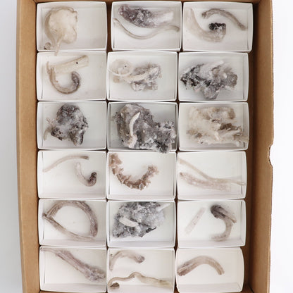 Rams Horn Selenite Flat