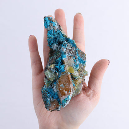 Chrysocolla on Quartz Roughs Set of 12