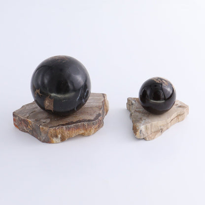 Petrified Wood Sphere Holders Set of 5 - Expert Wholesale and Supplier of Wholesale Crystals & Bulk Gemstones, ["Petrified Wood","sphere holder"]