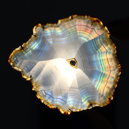 Iris Agate Slices Set of 7 - Expert Wholesale and Supplier of Wholesale Crystals & Bulk Gemstones, ["Agate","Iris Agate","Slices and Slabs"]