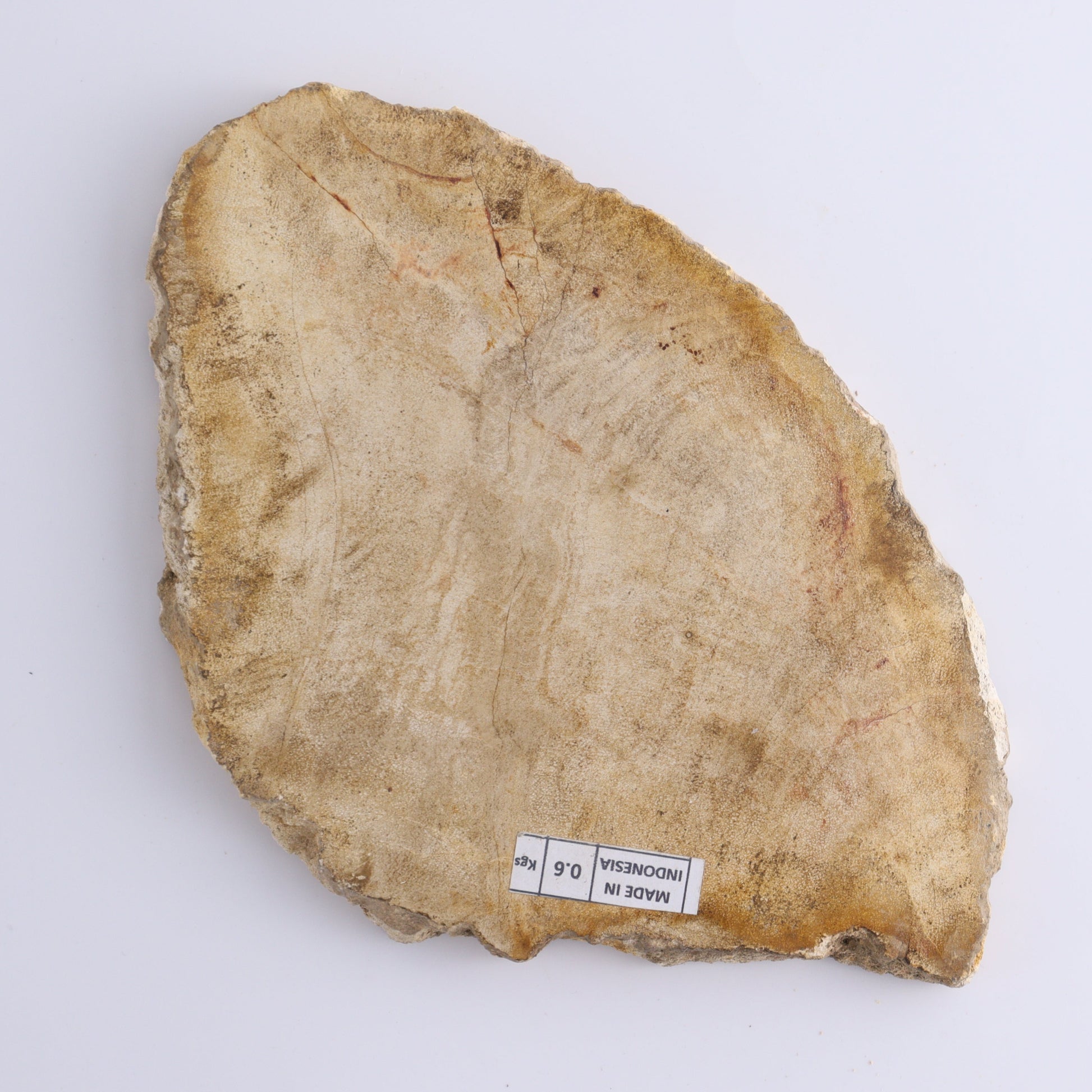 Petrified Wood Slices & Slabs Set of 4 - Expert Wholesale and Supplier of Wholesale Crystals & Bulk Gemstones, ["Freeforms","Indonesia","Petrified Wood","Slices and Slabs"]