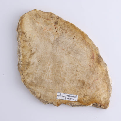 Petrified Wood Slices & Slabs Set of 4 - Expert Wholesale and Supplier of Wholesale Crystals & Bulk Gemstones, ["Freeforms","Indonesia","Petrified Wood","Slices and Slabs"]