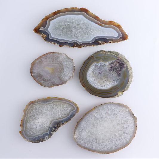 Agate Slices Set of 5 - Expert Wholesale and Supplier of Wholesale Crystals & Bulk Gemstones, ["Agate","Brazil","Slices and Slabs"]