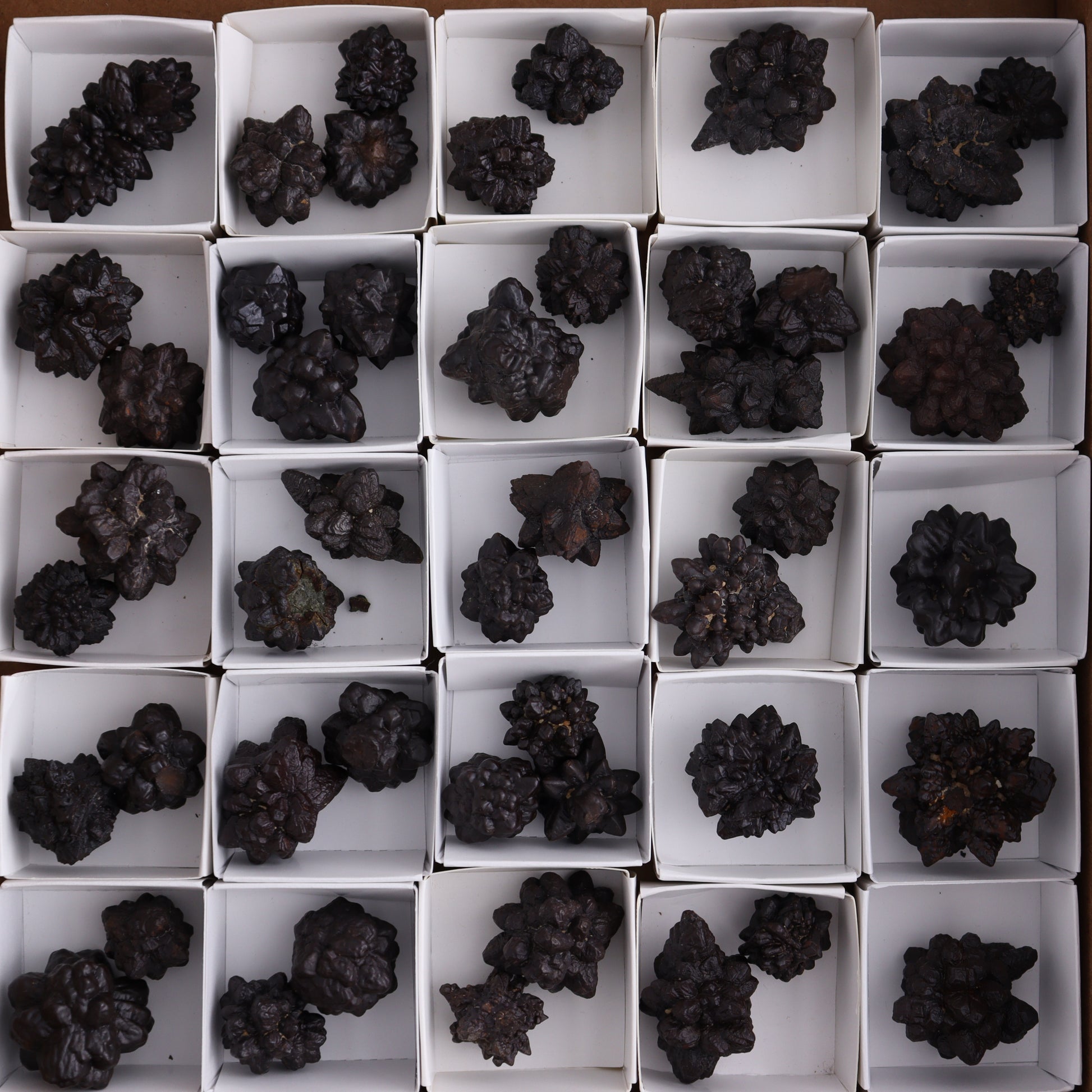 Egyptian Prophecy Stones Flat - Expert Wholesale and Supplier of Wholesale Crystals & Bulk Gemstones, ["Egypt","Freeforms","Prophecy Stone"]