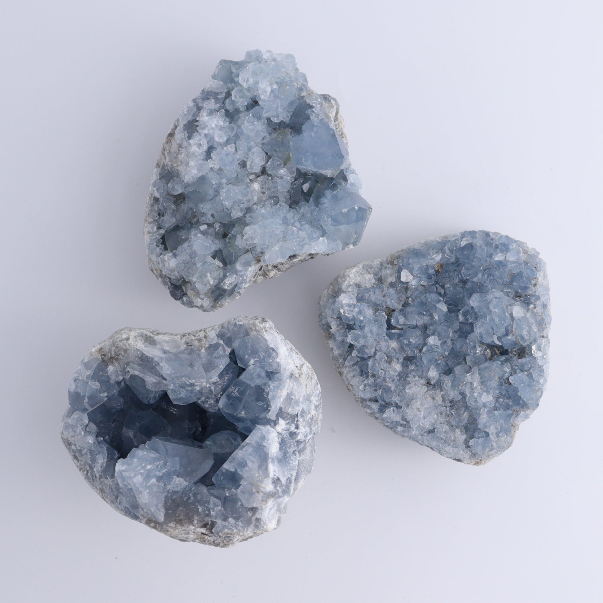 Celestite Clusters Set of 6 - Expert Wholesale and Supplier of Wholesale Crystals & Bulk Gemstones, ["Celestite","Freeform","Madagascar"]