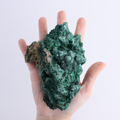 Malachite Freeforms Set of 2 - Expert Wholesale and Supplier of Wholesale Crystals & Bulk Gemstones, ["Freeform","Malachite","South Africa"]